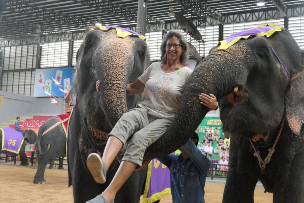 They also had a short cultural show demonstrating regional costume and dance. The elephant being the national animal Michelle needed to make friends.